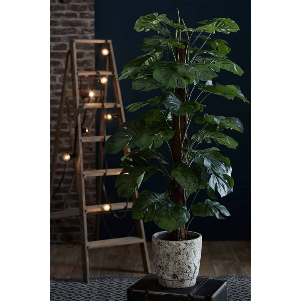 Kunstbuxus in pot — close-up bladeren