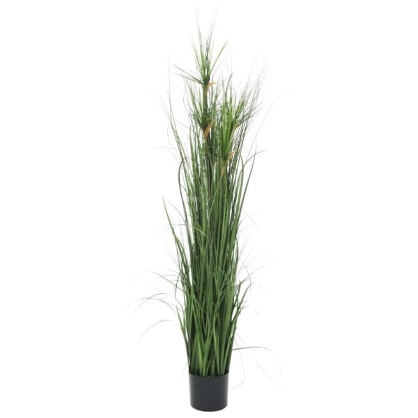Plantenonline Kunstgrasplant 140 cm