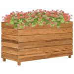 Plantenonline Plantenbak verhoogd 100x40x38 cm gerecycled teakhout en staal