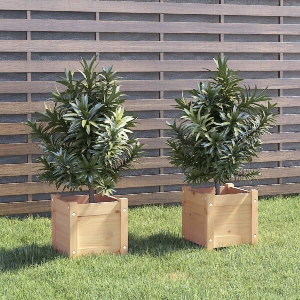 Plantenonline Plantenbakken 2 st 31x31x31 cm massief grenenhout