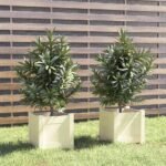 Plantenonline Plantenbakken 2 st 31x31x31 cm massief grenenhout wit