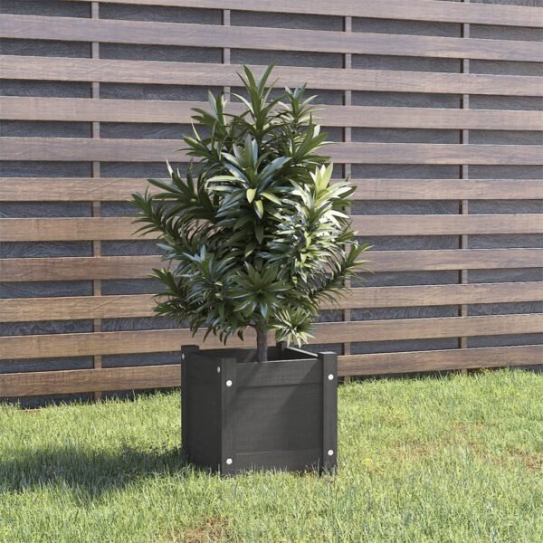 Plantenonline Plantenbak 31x31x31 cm massief grenenhout grijs