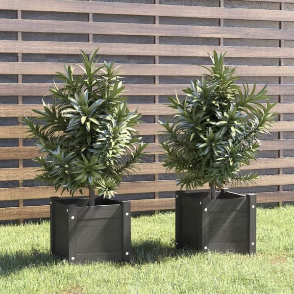 Plantenonline Plantenbakken 2 st 31x31x31 cm massief grenenhout grijs
