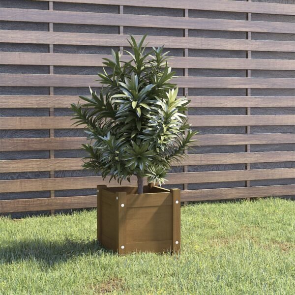 Plantenonline Plantenbak 31x31x31 cm massief grenenhout honingbruin