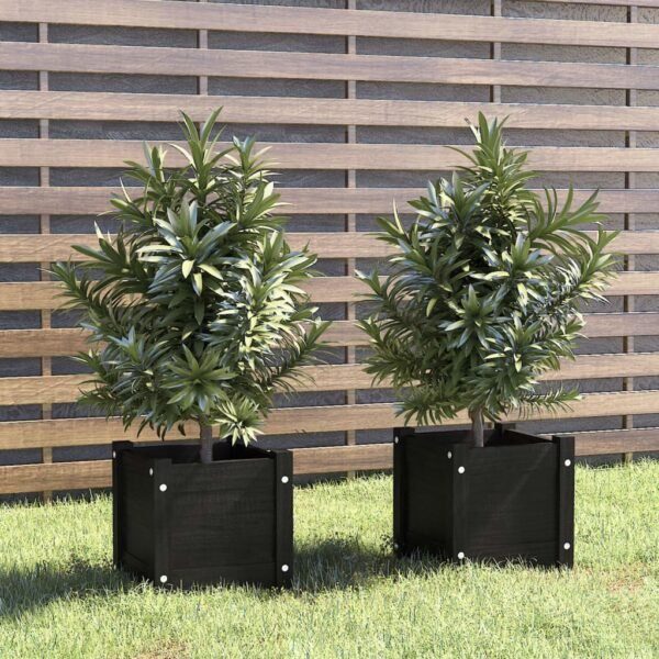 Plantenonline Plantenbakken 2 st 31x31x31 cm massief grenenhout zwart