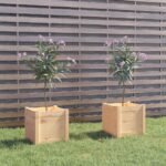 Plantenonline Plantenbakken 2 st 40x40x40 cm massief grenenhout