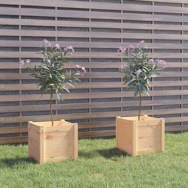 Plantenonline Plantenbakken 2 st 40x40x40 cm massief grenenhout