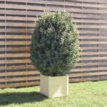 Plantenonline Plantenbak 40x40x40 cm massief grenenhout wit