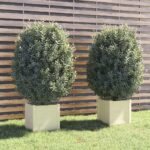 Plantenonline Plantenbakken 2 st 40x40x40 cm massief grenenhout wit
