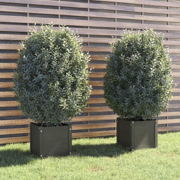 Plantenonline Plantenbakken 2 st 40x40x40 cm massief grenenhout grijs