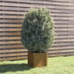 Plantenonline Plantenbak 40x40x40 cm massief grenenhout honingbruin