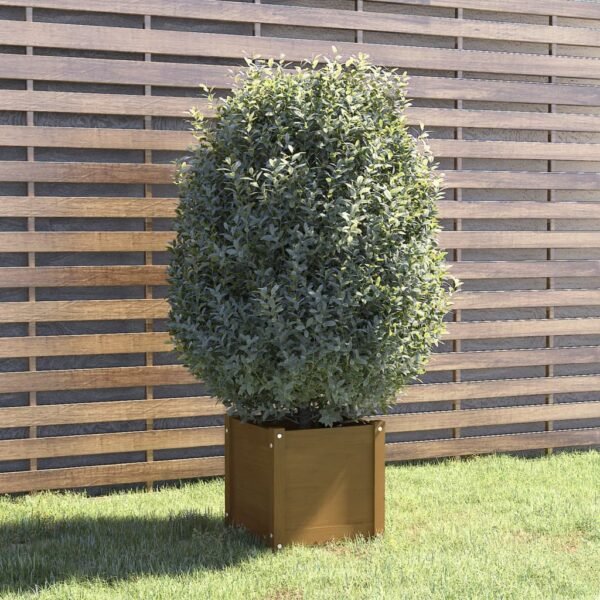 Plantenonline Plantenbak 40x40x40 cm massief grenenhout honingbruin