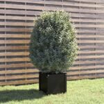 Plantenonline Plantenbak 40x40x40 cm massief grenenhout zwart