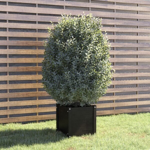 Plantenonline Plantenbak 40x40x40 cm massief grenenhout zwart