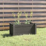 Plantenonline Plantenbak 60x31x31 cm massief grenenhout grijs