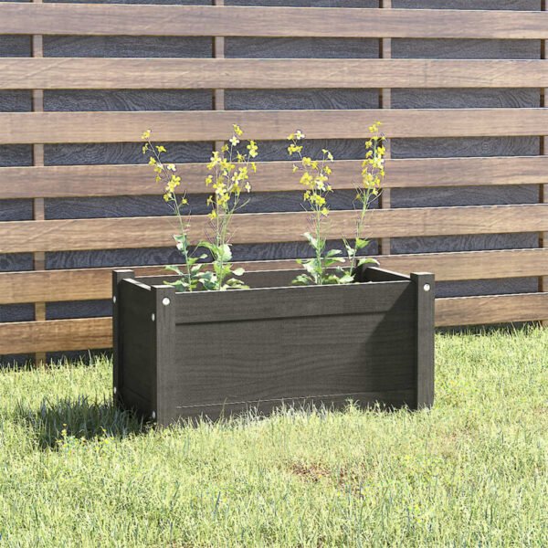 Plantenonline Plantenbak 60x31x31 cm massief grenenhout grijs