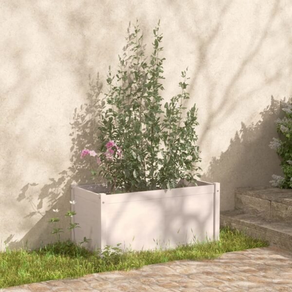 Plantenonline Plantenbak 100x50x50 cm massief grenenhout wit