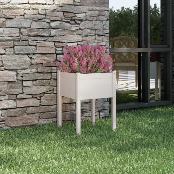 Plantenonline Plantenbak 50x50x70 cm massief grenenhout wit