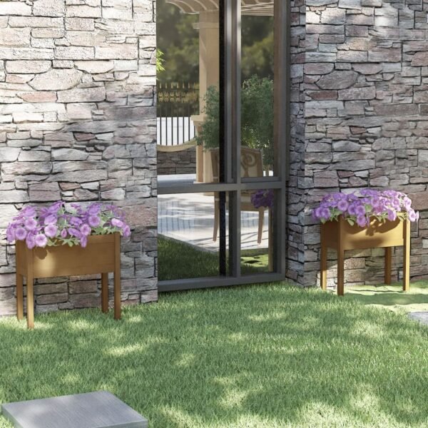 Plantenonline Plantenbakken 2 st 70x31x70 cm massief grenenhout honingbruin