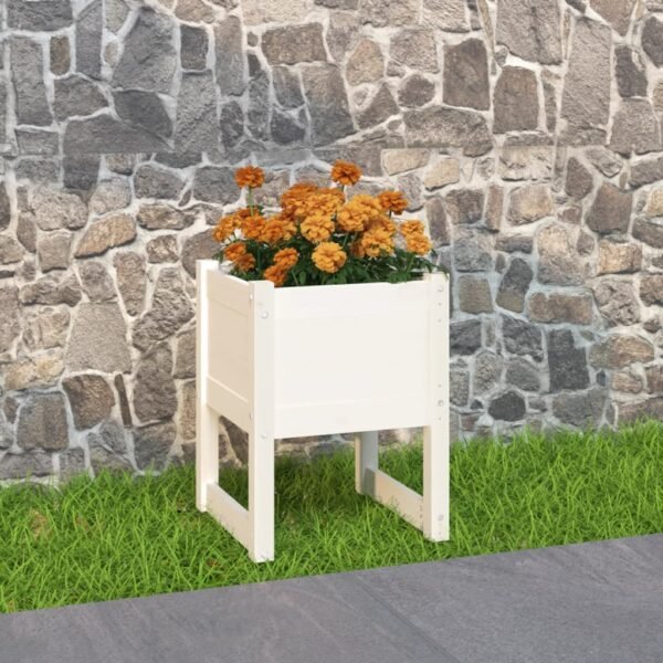 Plantenonline Plantenbak 40x40x52,5 cm massief grenenhout wit