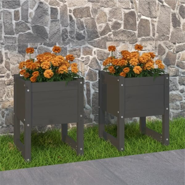 Plantenonline Plantenbakken 2 st 40x40x52,5 cm massief grenenhout grijs