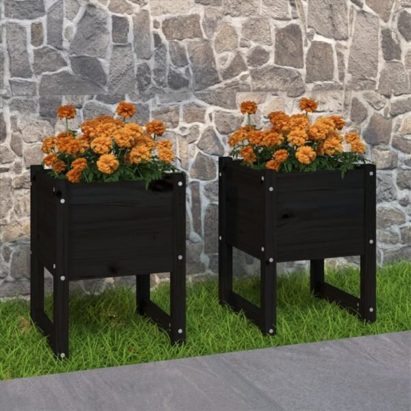 Plantenonline Plantenbakken 2 st 40x40x52,5 cm massief grenenhout zwart