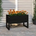 Plantenonline Plantenbak 78x40x52 cm massief grenenhout zwart
