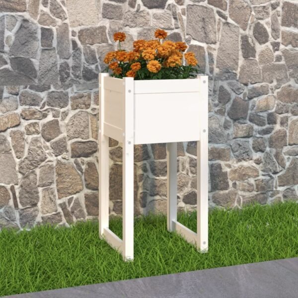 Plantenonline Plantenbak 40x40x81 cm massief grenenhout wit