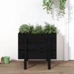 Plantenonline Plantenbak 62x50x57 cm massief grenenhout zwart
