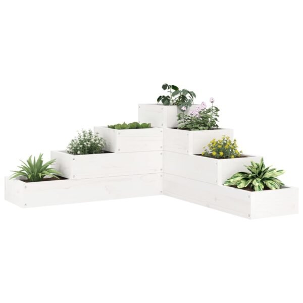 Plantenonline Plantenbak 4-laags 80,5x79x36 cm massief grenenhout wit