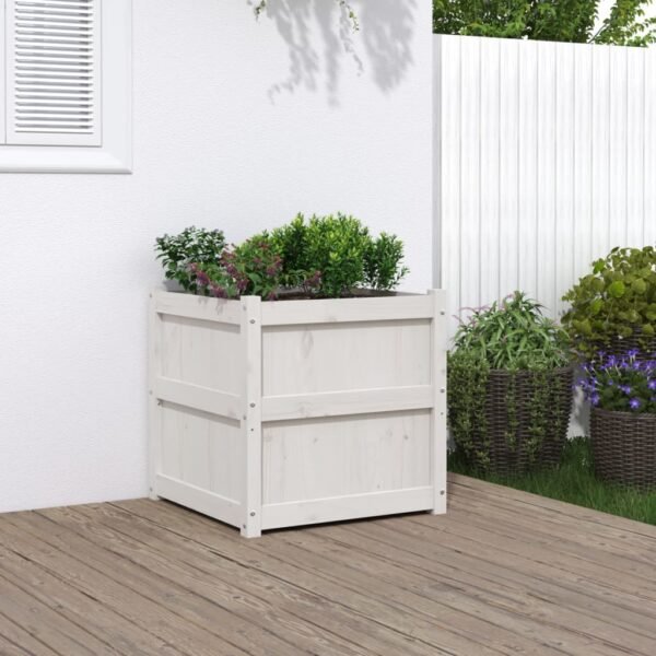 Plantenonline Plantenbak 60x60x60 cm massief grenenhout wit