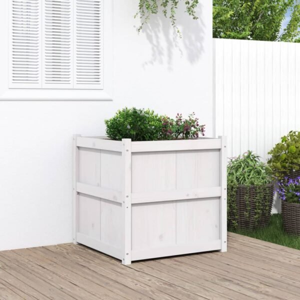 Plantenonline Plantenbak 70x70x70 cm massief grenenhout wit