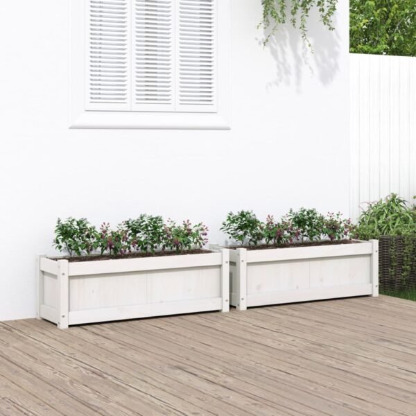 Plantenonline Plantenbakken 2 st cm massief grenenhout wit