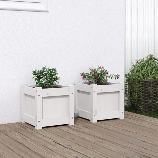 Plantenonline Plantenbakken 2 st cm massief grenenhout wit