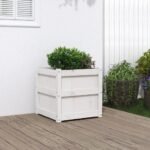 Plantenonline Plantenbak 50x50x50 cm massief grenenhout wit