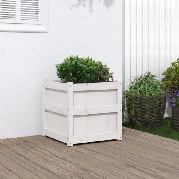 Plantenonline Plantenbak 50x50x50 cm massief grenenhout wit