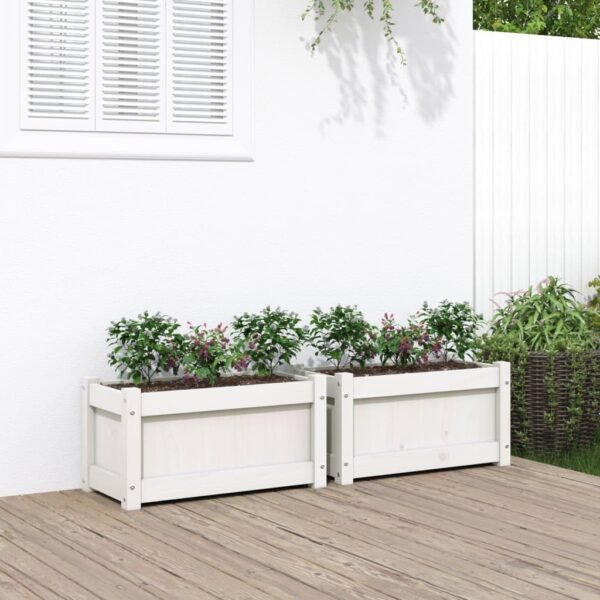 Plantenonline Plantenbakken 2 st cm massief grenenhout wit