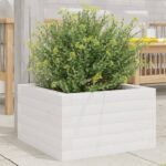 Plantenonline Plantenbak 40x40x23 cm massief grenenhout wit