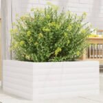 Plantenonline Plantenbak 50x50x23 cm massief grenenhout wit