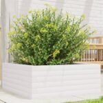 Plantenonline Plantenbak 60x60x23 cm massief grenenhout wit