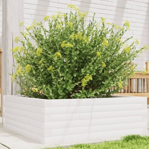 Plantenonline Plantenbak 70x70x23 cm massief grenenhout wit