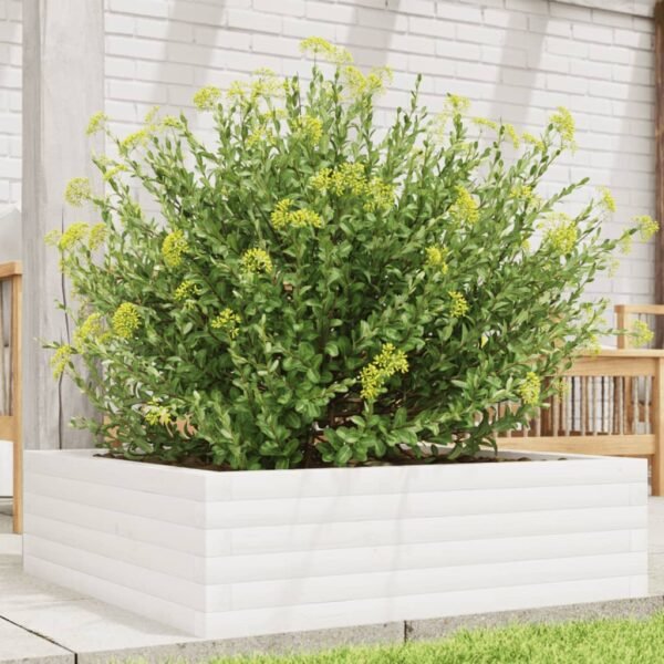 Plantenonline Plantenbak 80x80x23 cm massief grenenhout wit