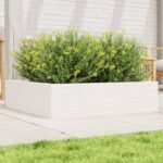 Plantenonline Plantenbak 90x90x23 cm massief grenenhout wit