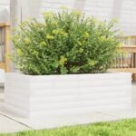 Plantenonline Plantenbak 70x40x23 cm massief grenenhout wit