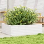 Plantenonline Plantenbak 90x60x23 cm massief grenenhout wit