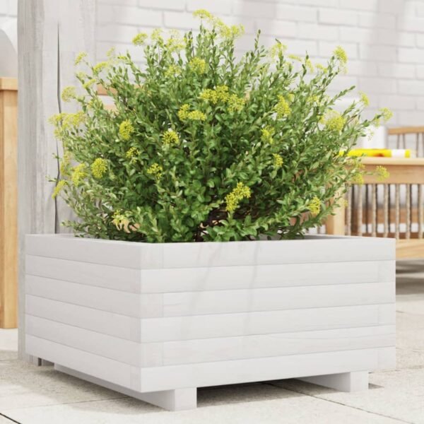 Plantenonline Plantenbak 50x50x26,5 cm massief grenenhout wit