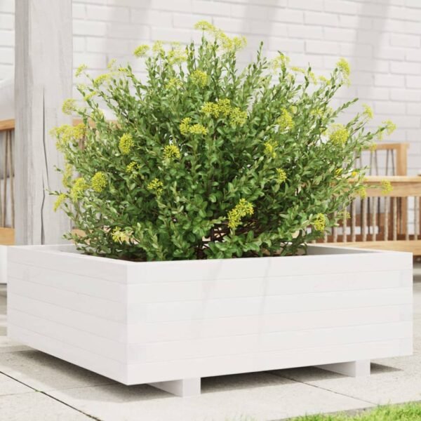 Plantenonline Plantenbak 70x70x26,5 cm massief grenenhout wit