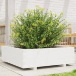 Plantenonline Plantenbak 80x80x26,5 cm massief grenenhout wit