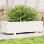 Plantenonline Plantenbak 90x40x26,5 cm massief grenenhout wit