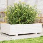 Plantenonline Plantenbak 90x60x26,5 cm massief grenenhout wit